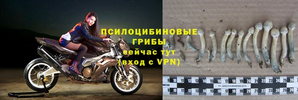 spice Дмитриев