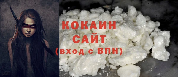 spice Дмитриев