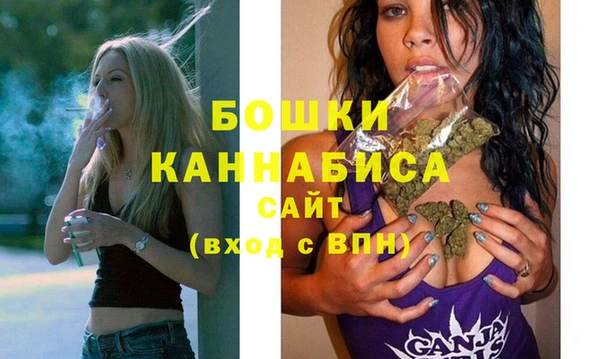 spice Дмитриев