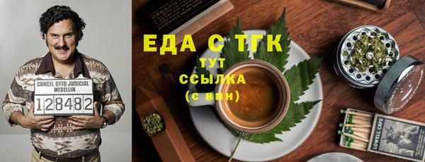 spice Дмитриев