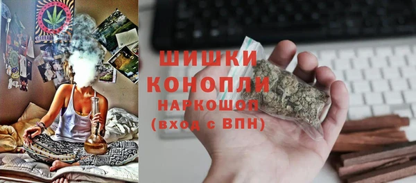 spice Дмитриев
