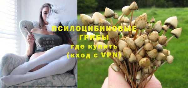 spice Дмитриев