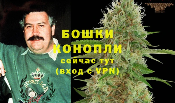 СК Дмитровск