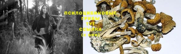ГАЛЛЮЦИНОГЕННЫЕ ГРИБЫ Дмитров