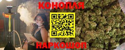 СК Аргун