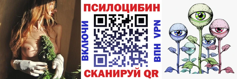 наркошоп  Верхний Уфалей  Псилоцибиновые грибы мицелий 