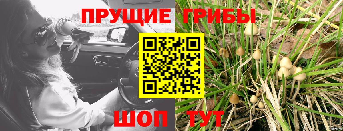 Галлюциногенные грибы Psilocybine cubensis Верхний Уфалей